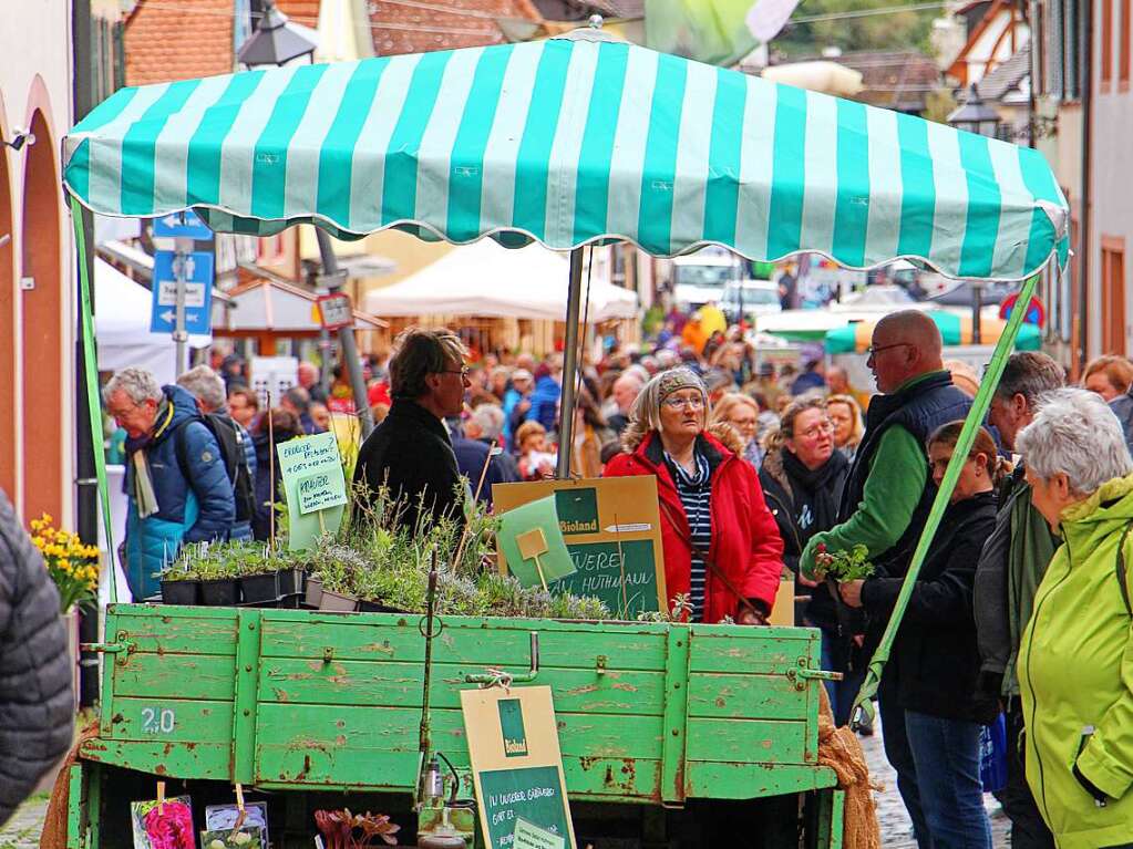 Trotz des wechselhaften und teils strmischen Wetters strmten die Besucher am Sonntag in die Endinger Innenstadt.