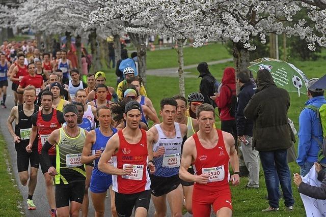 Rund 12.300 Teilnehmer beim Freiburg-Marathon