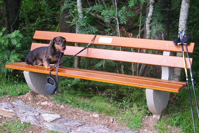 Die 125 Bnke im Sulzburger Wald sollen wieder zum Sitzen einladen (Symbolbild).  | Foto: elmar klein 