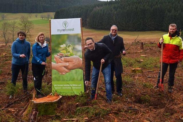 3000 Jungbume in Biederbach eingepflanzt – dank Bank-Sponsoring