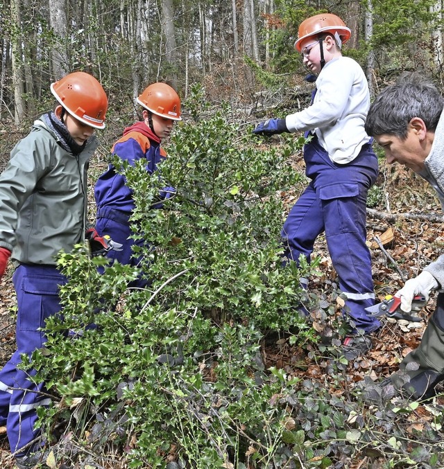 Junge Feuerwehrler subern  Hnge von der Kermesbeere.  | Foto: Markus Zimmermann