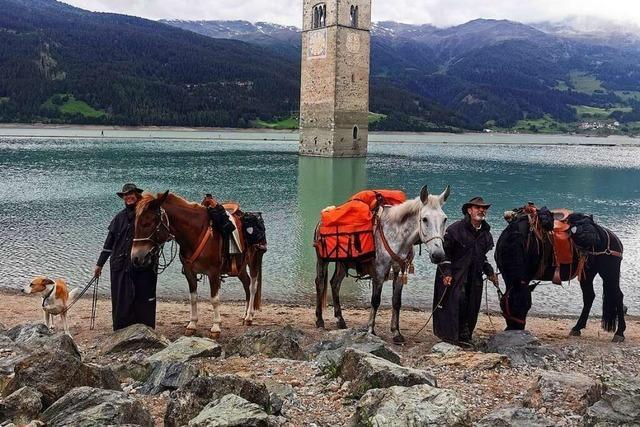 Tierärztin aus Laufenburg wandert mit Pferd, Mulis und Hund über die Alpen
