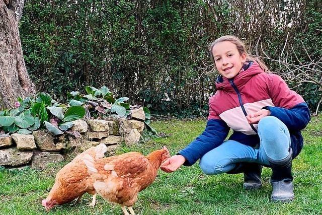Rettet das Huhn! – Was du noch nicht über Hühner wusstest