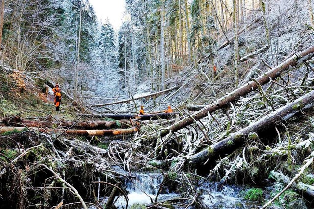 Damit Wanderer sicher unterwegs sein k...llt, die als Sicherheitsrisiko galten.  | Foto: Martin Schwenninger