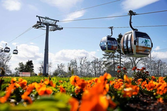 Kabinen der Seilbahn auf dem Bundesgartenschaugelnde  | Foto: Uwe Anspach (dpa)