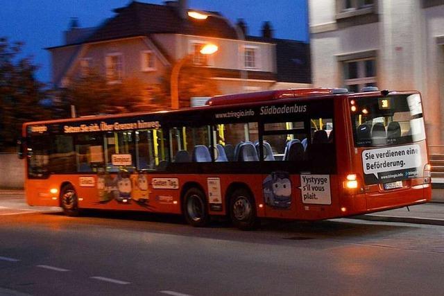 Was lässt sich bei den Buslinien in Grenzach-Wyhlen verbessern?