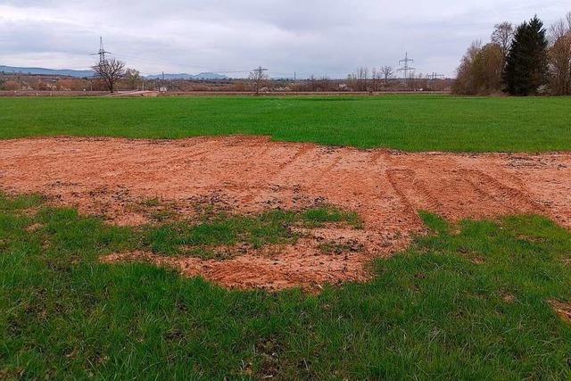 Erdhaufen im Wasenweiler Ried sind zum groen Teil wieder weg