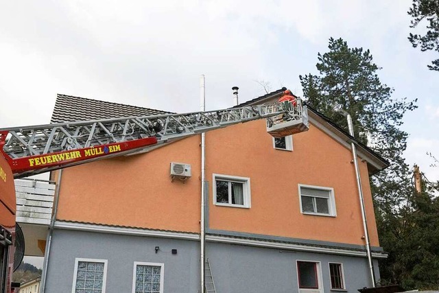 Bei der Entfernung des umgestrzten Ba...e Drehleiter aus Mllheim zum Einsatz.  | Foto: Volker Mnch