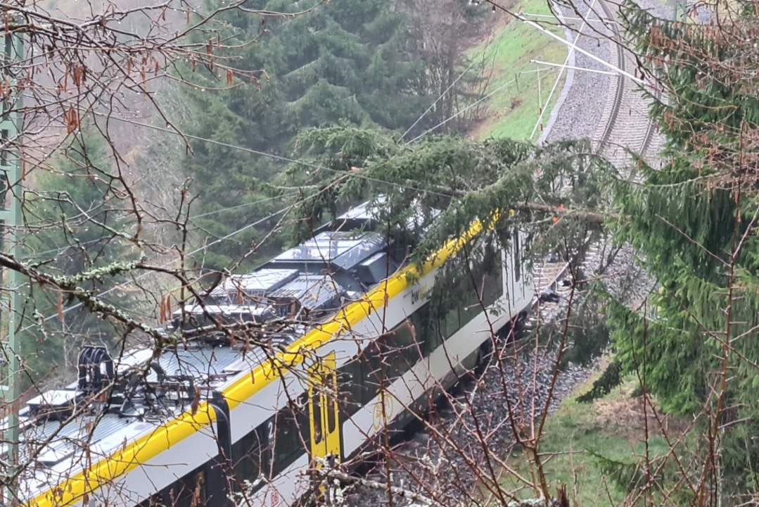Bei Rötenbach kollidierte ein Zug mit einem umgestürzten Baum.  | Foto: Kamera 24
