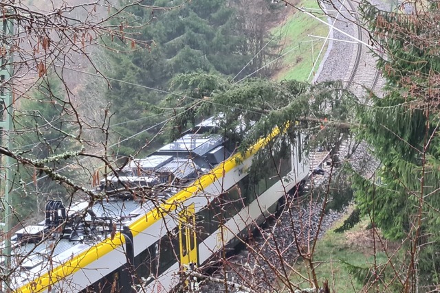 Bei Rtenbach kollidierte ein Zug mit einem umgestrzten Baum.  | Foto: Kamera 24