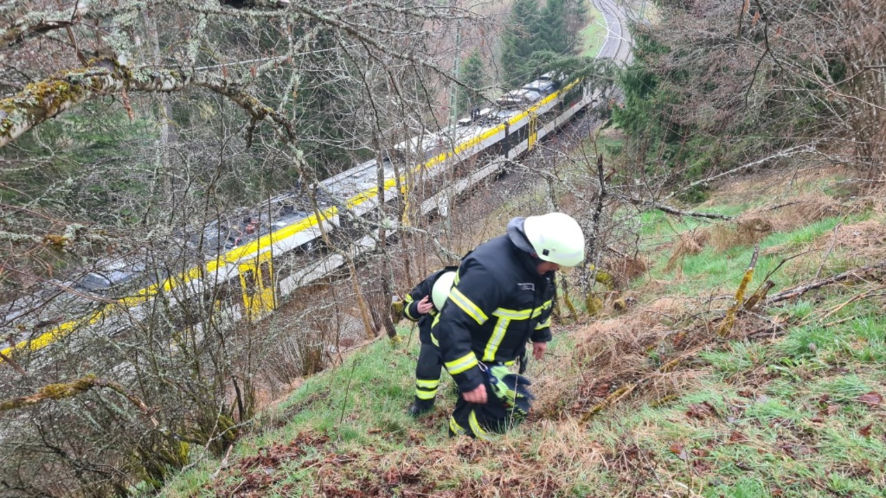 Bei Rötenbach wurde ein Zug von einem umgestürzten Baum getroffen.  | Foto: kamera 24