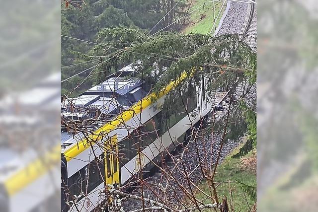 Höllentalbahn kollidiert mit Baum