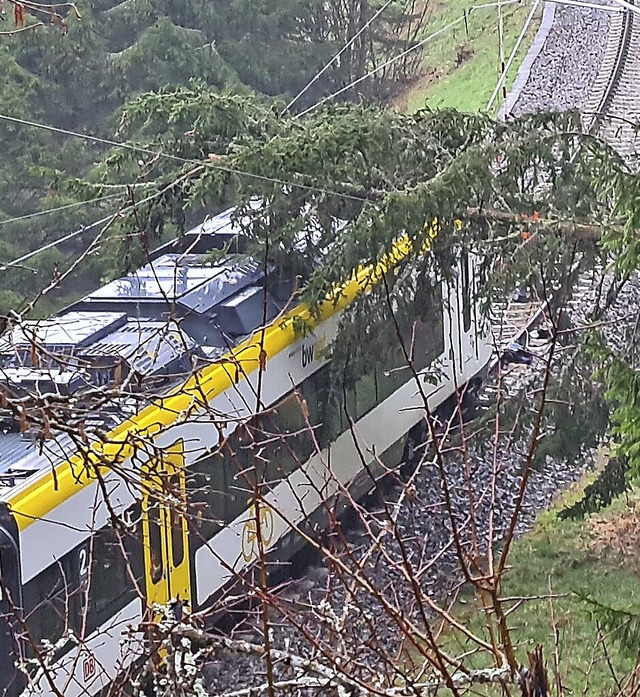 Bei Rtenbach wurde ein Zug von einem umgestrzten Baum getroffen.   | Foto: Kamera 24