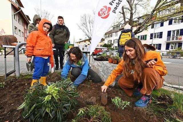 Baumpaten schaffen kleine Grnflchen