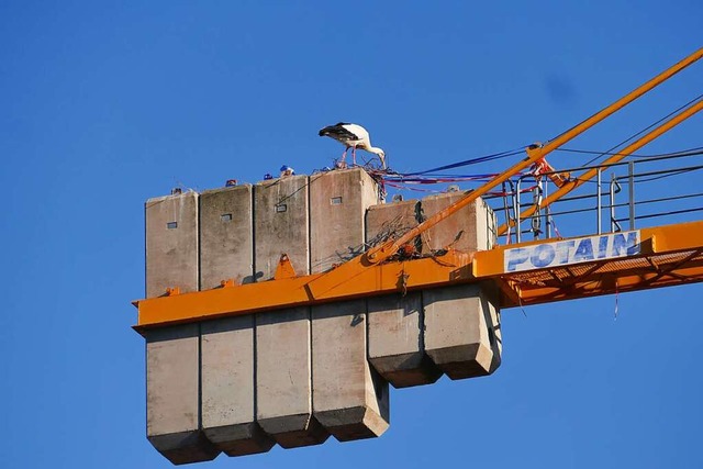 Der auf dem inzwischen abgebauten Bauk...orgt in Binzen weiter fr Diskussionen  | Foto: Ulrich Senf