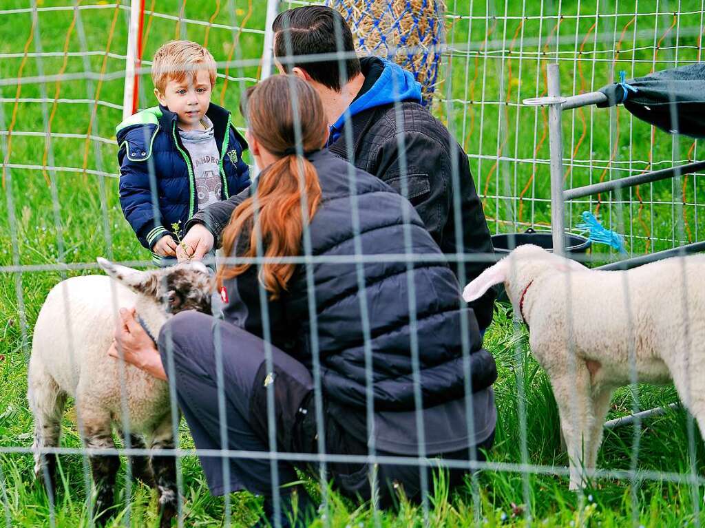 Auch ein Streichelzoo durfte beim Kinderprogramm nicht fehlen.