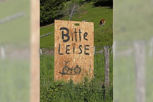 Mehr Schutz vor Verkehrslrm