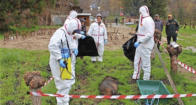   | Foto: Landratsamt Emmendingen