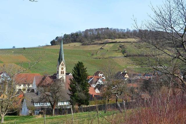 Ebringen hat Probleme mit Feiernden in den Reben