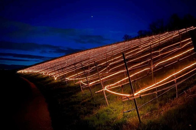 Weihnachtsstimmung im April in den Dur...soll vor Sptfrsten geschtzt werden.  | Foto: Winfried Kninger