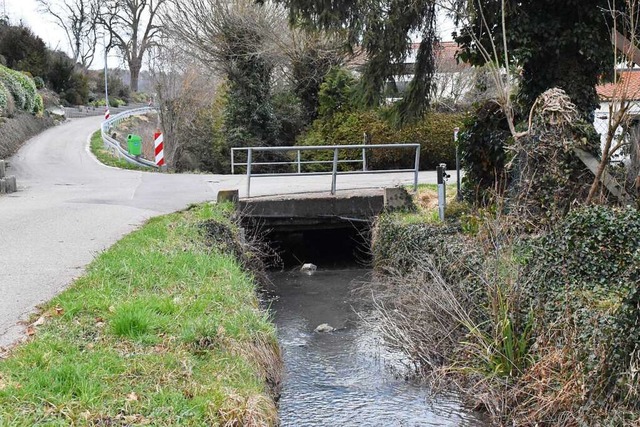 Die Rosswangbrcke in Brombach ist ein...n Teil der Plne zum Hochwasserschutz.  | Foto: Thomas Loisl Mink