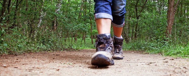 Vier neue Wanderwege befinden sich in ... Tourist-Information Waldshut-Tiengen. | Foto: Christin Klose Vier neue Wanderwege befinden sich in ... Tourist-Information Waldshut-Tiengen. | Foto: Christin Klose