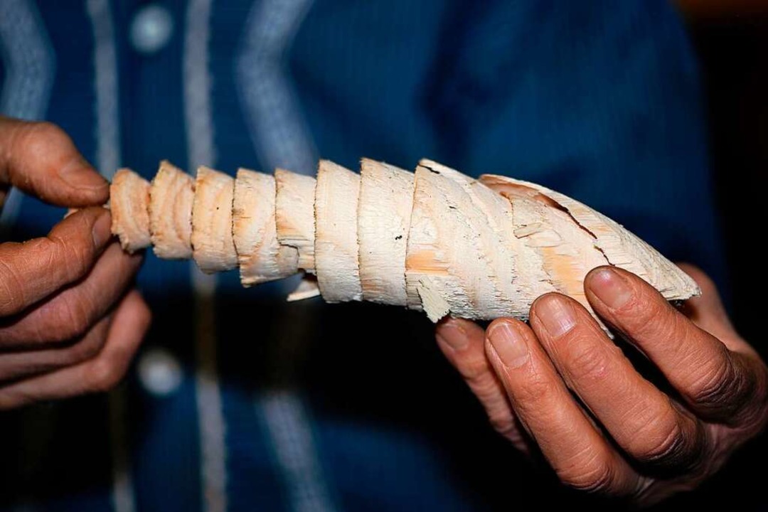 Beim Diechelebohren  ist wichtig, dass...es Tannenstamms exakt getroffen wird.   | Foto: Wolfgang Scheu