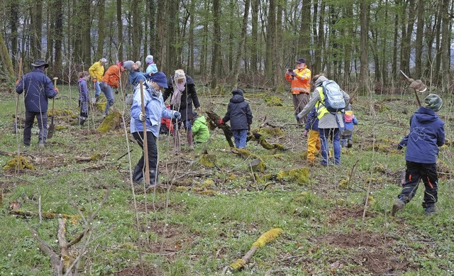 Helferinnen und Helfer  bei der Pflanz...uzle-Schlag&#8220; im Forchheimer Wald  | Foto: Roland Vitt
