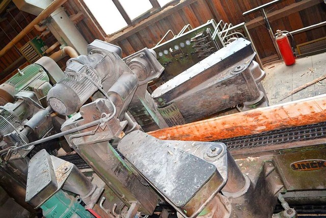 Blick ins Holzwerk Rtenbach: Douglasienstmme in der Bearbeitung  | Foto: Liane Schilling