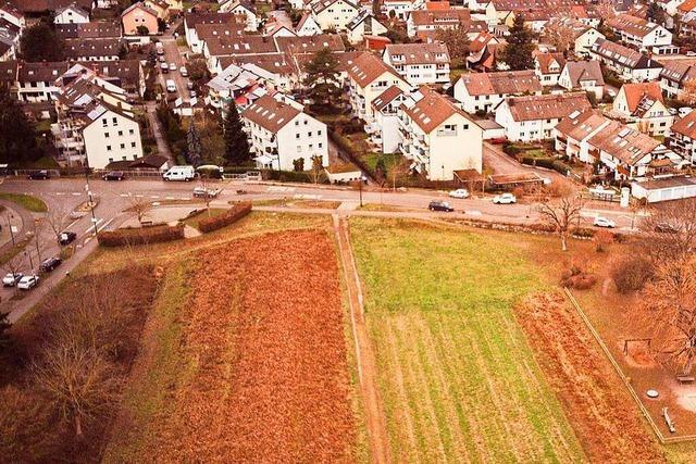 Ngelesee Nord: Gundelfinger Grne kritisieren Vergabe der Planung