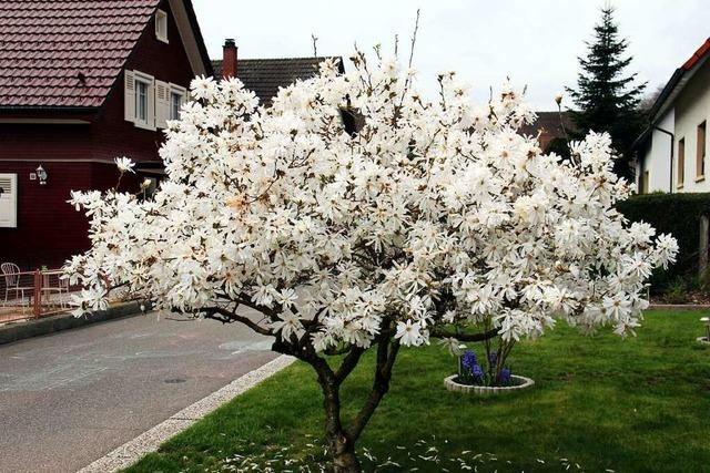 Am Ostersonntag nhert sich Schwrstadt ein Azorenhoch