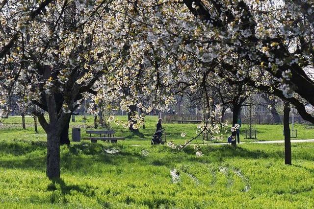 Fotos: LGS-Gelnde in Neuenburg ist fr die ffentlichkeit wieder zugnglich