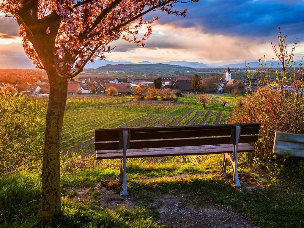 Abendstimmung mit Sonnenschein in Knigschaffhausen