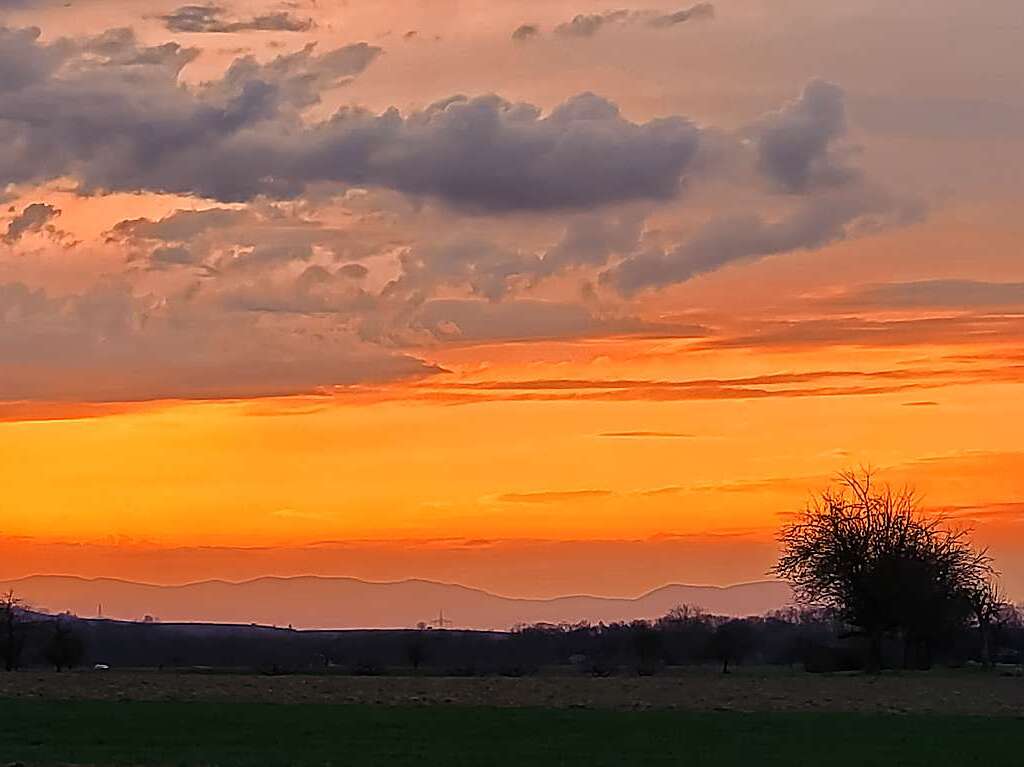 Vogesen und Kaiserstuhl in der Abendstimmung