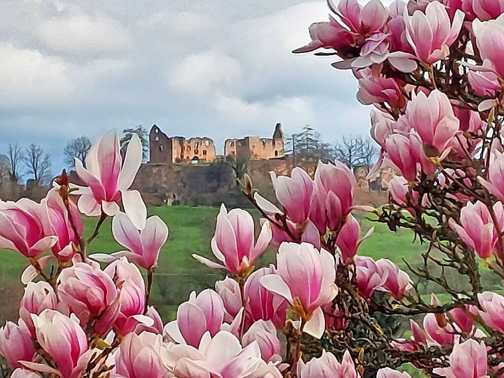 Auch an der Hochburg macht sich der Frhling bemerkbar.