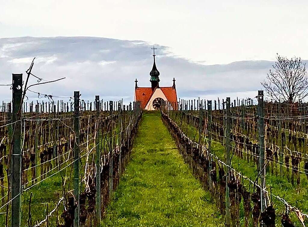 Eine etwas andere Perspektive auf die Endinger Peterskirche