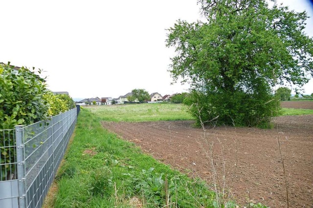 Hier soll das Baugebiet entstehen  | Foto: Christian Kramberg