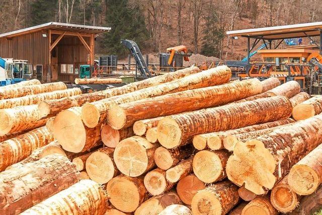 Geschäftsführer des Holzwerks Braun in Birkendorf sorgt sich um die Balance im Wald