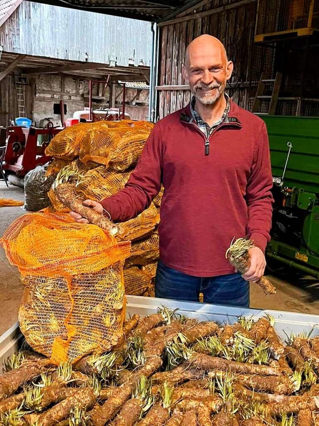 Pius Weber erntet den koscheren Meerrettich nach den Vorgaben eines Rabbiners.  | Foto: Michael Karle