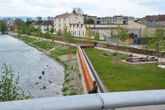 In Hüningen soll eine Landungsbrücke für Kreuzfahrtschiffe entstehen