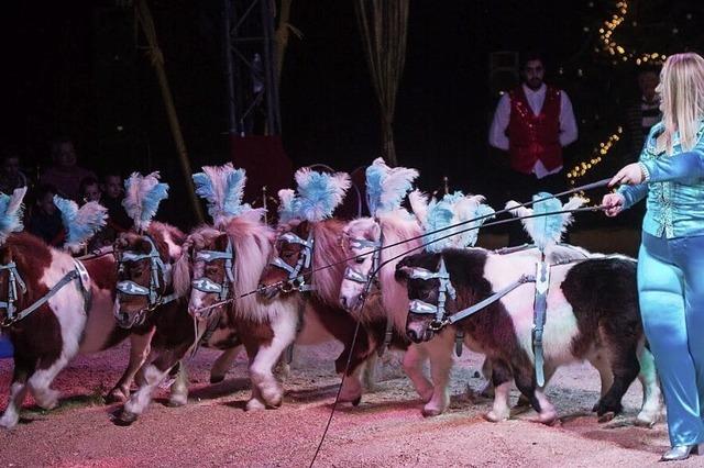 Der Circus Barelli ldt am Weltzirkustag zum Tag der offenen Tr