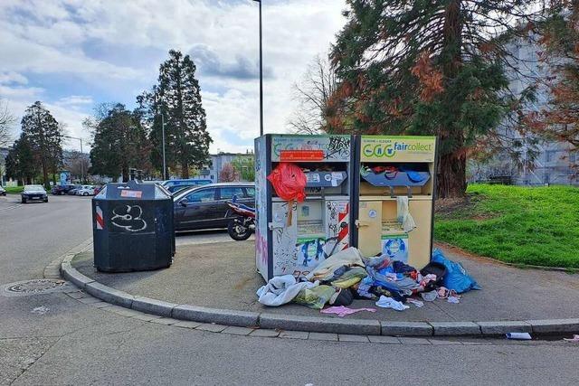 Ratten-Problem in einigen Freiburger Stadtteilen – weil Müll herumliegt