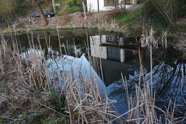 Der Streit um den Krottenweiher in Lrrach geht weiter