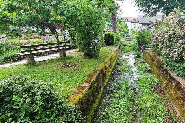 Der Stadtpark in Schopfheim soll neu gestaltet werden