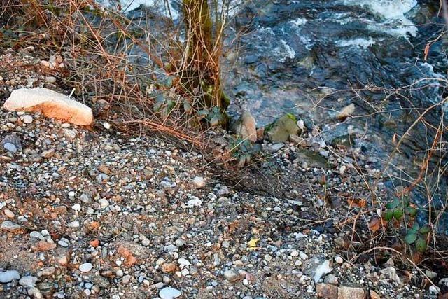 Bei Oberried wurde erneut giftiger Bauschutt gefunden