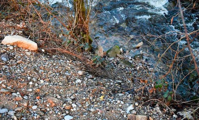 Teile des mutmalich belasteten  Bausc...rutscht. Dort leben geschtzte Krebse.  | Foto: Landschafts- und Naturschutzinitiative Schwarzwald