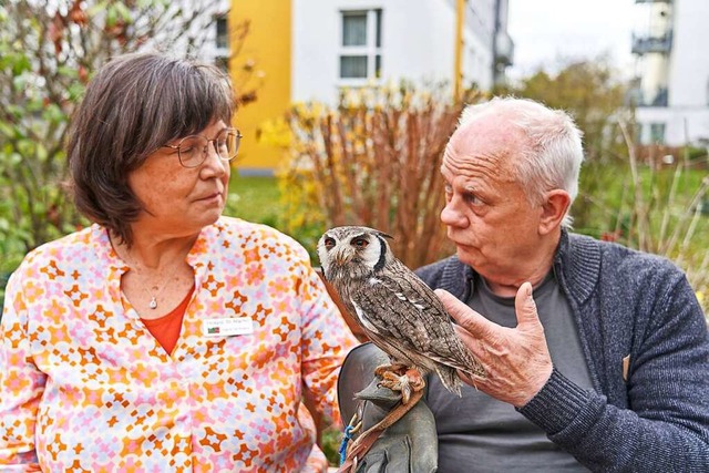 Michael Hoffmann von den Falkner der ...um eine Eule geruschlos fliegen kann.  | Foto: Sascha Ditscher (dpa)