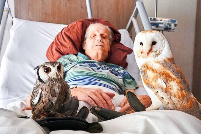 Horst Demsky ist Bewohner im Hospiz St...eule Emma und Weigesichtseule Merlin.  | Foto: Sascha Ditscher (dpa)