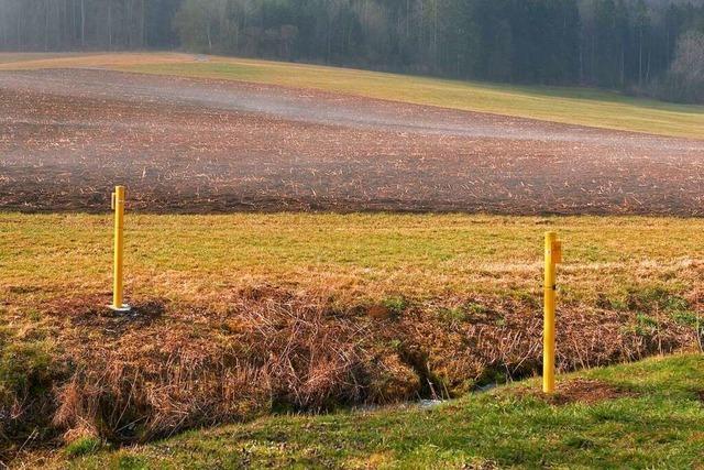 Ein Offenburger Knstler auf den Spuren des Hecker-Zugs