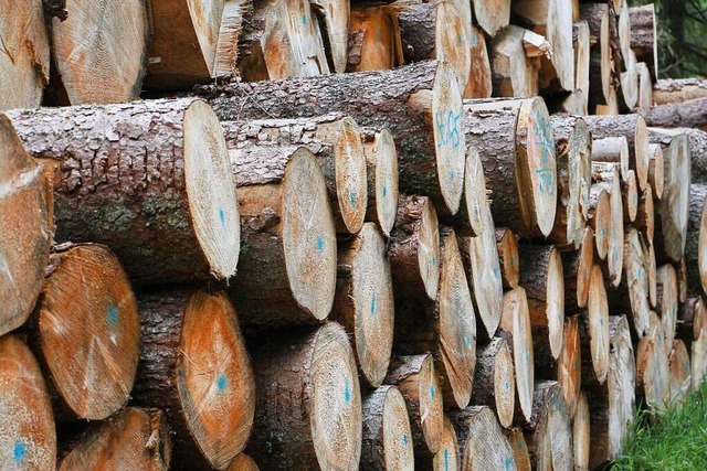 Die Holzpreise sind auf einem guten Niveau.   | Foto: Martin Wendel